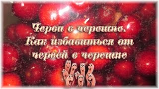 Черви в черешне Как избавиться от червей в черешне [upl. by Cheng]