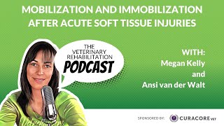 Mobilization and Immobilization After Acute Soft Tissue Injuries with Ansi van der Walt [upl. by Zia]