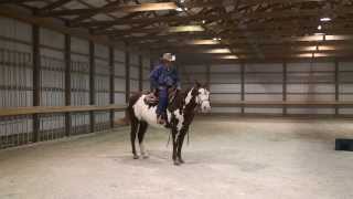 The Recreational Horse Series Part 4 of 5 The Half Pass and Side Pass [upl. by Nick979]