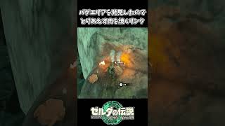 【ティアキン】バグエリアを見つけたので肉を焼くリンク【ゼルダの伝説 ティアーズ オブ ザ キングダム】 [upl. by Kanter217]