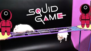 Squid Game vs Hamsters  Glass bridge  Red Light Green Light  Marbles and All Amazing Challenges [upl. by Aelram]