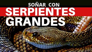 Que significa soñar con serpiente grande Basado en 2 mil sueños interpretados [upl. by Starinsky]