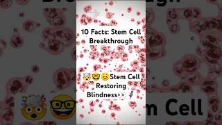 10 Fun Stem Cell Discoveries facts humanbodywonders science youtubeshortsfun [upl. by Guy]