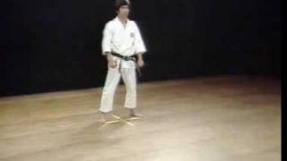 Shotokan Kata Jitte  Kanazawa Hirokazu [upl. by Goerke]