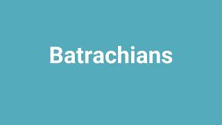 Batrachians Meaning and Pronunciation [upl. by Mastic]