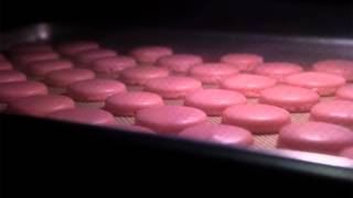 Time lapse of macarons baking in the oven [upl. by Annait759]