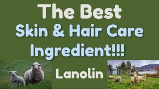 Lanolin The Super Gentle Ultimate Hair and Skincare Ingredient [upl. by Swartz362]