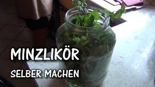 Minzlikör selber machen  der AUSSTEIGER [upl. by Idnek]