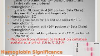 Porphyrins and Hemoglobin [upl. by Naie500]