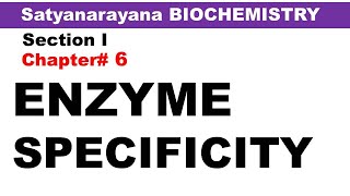 Chp6 Satyanarayana Biochemistry  Enzyme Specificity  Biochemistry Lectures [upl. by Brittnee388]