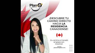 📈 Tasa de Empleo en Canadá 2024 Estabilidad y Crecimiento 🇨🇦 [upl. by Nedle]