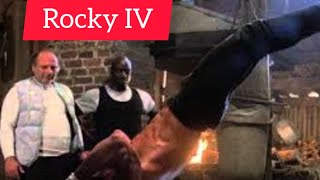 Rocky 4 Training [upl. by Ynohtnacram71]