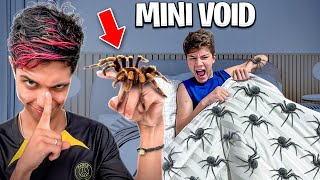 TROLEI O MINI VOID COM 10000 ARANHAS NA CAMA Deu ruim [upl. by Thesda]