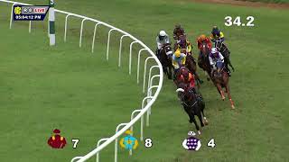 MANSA MUSA THE TRACK LIGHTNING STAKES DIVI17 [upl. by Ahsiemal363]