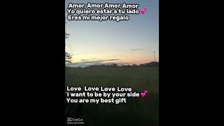 Amor song translate [upl. by Nerol]