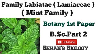 Family Labiatae  Lamiaceae  Rehans Biology Mint Family Basil Family BSc Part 2 1st paper [upl. by Cornela]