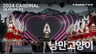 서강대학교 응원단 트라이파시 2024 CARDINAL 9월 축제 본판 무대  낭만고양이 [upl. by Akinoj]