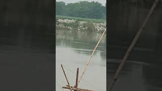 Flood is come back in Bihar shorts video flood [upl. by Wooldridge]