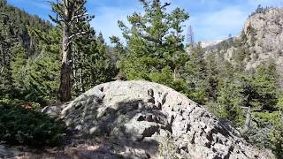 Old Forest Inn Campsite RMNP Backcountry [upl. by Iturk414]