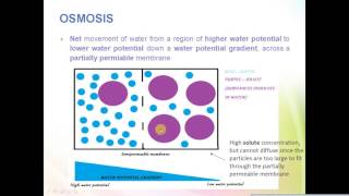 IGCSE BIOLOGY REVISION  Syllabus 3 CORE Diffusion osmosis and active transport [upl. by Araic286]