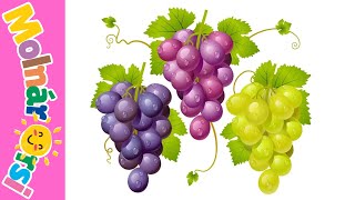 🍇🍇 Szüretelő  gyermekdal 🍷 [upl. by Vary299]