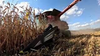 Picking Corn For Ethanol Population Test amp Hot Wiring A Tractor Harvest 23 Day 1921 S4 E30 [upl. by Seigel]