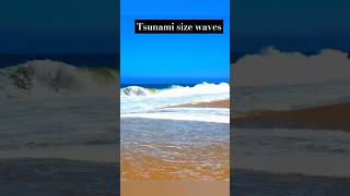 Tsunami Size Waves at fingal bay EP5 tsunami surf tsunamisizewaves shorts surfing suffers [upl. by Luana]