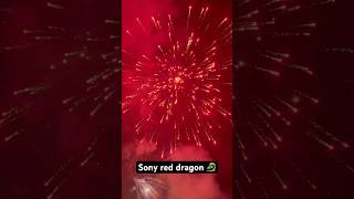 Sony red dragon 🐉 diwalifirework diwalirecipes diwali indore diwalispecial vlogs viralshort [upl. by Corrie]