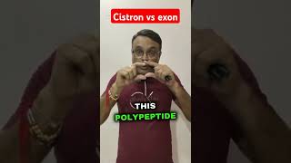 Cistron vs exonpolypetide chain entire dna limituptomrnapankaj sir [upl. by Lira]