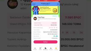 TOMARKET AİRDROP AZ ALANLAR DİKKATLE İZLESİN🔥PiggyPiggy Stake Etme Nasıl Airdrop Alırız  tomarket [upl. by Auburn]