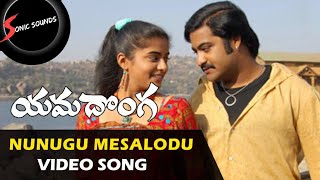 Yamadonga Video Songs  Nunugu Misalodua Video Song  JrNTR Priyamani  Sonic sounds [upl. by Elsi240]