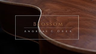 “Blossom” original Dowina Chardonnay acoustic guitarLR Baggs M1 [upl. by Longerich]