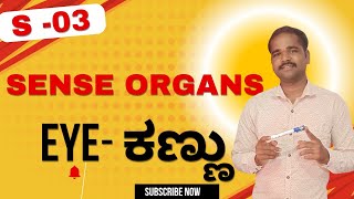 ಮಾನವನ ಪಂಚೇಂದ್ರಿಯಗ ಬಗ್ಗೆ ಸರಳವಾದ ವಿವರಣೆSense organs Eye [upl. by Yvonne]