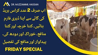 2 cows dairy business plan 2024 II Small scale dairy farming feasibility 2024 in Pakistan [upl. by Eltsyek]