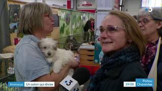 Salon du chiot  Poitiers [upl. by Giffer]