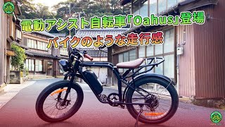 電動アシスト自転車「Oahus」登場 バイクのような走行感  ミドリ自転車 [upl. by Chadd]