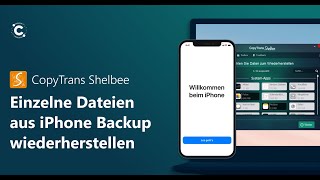 Einzelne Daten aus iPhone Backup wiederherstellen [upl. by Aretahs]