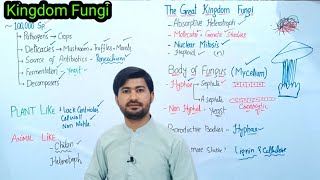 81 Kingdom Fungi  Introduction of Fungi  Body of Fungi Fsc Biology class 11 [upl. by Hut]