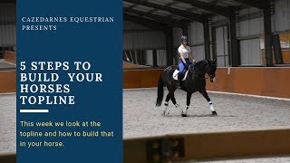 5 steps to Build your horses Topline [upl. by Boeke95]