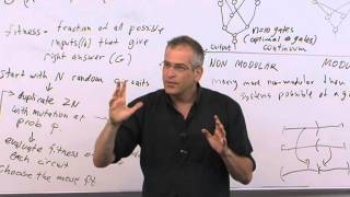 Systems biology course 2014 Uri Alon  lecture 10 Modularity [upl. by Ailahk638]