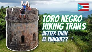 TORO NEGRO HIKING Best Alternative To El Yunque  Puerto Rico Travel Guides [upl. by Oderf]