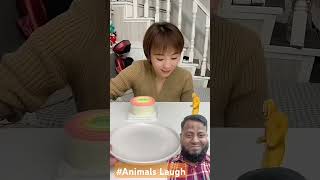 toys cake slime funny review dog uwoodworkerfacts funnyanimals Ad Shorts [upl. by Ratha836]