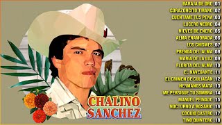 1 HORA DE PUROS CORRIDOS DE CHALINO SANCHEZ  CHALINO SANCHEZ MIX PARA PISTEAR  30 EXITOS CORRIDOS [upl. by Veno]