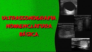 Videoaula RADIOLOGIA Nomenclatura ultrassonográfica básica [upl. by Elleuqar362]