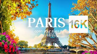 Paris in 16K Videos with SUPER ULTRAHD 240FPS  Sony Demo [upl. by England]