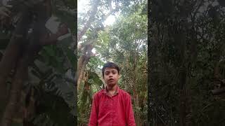 Aaj Mera amrican me flat hota comedy funny explore fun shortfeed likers belikethat likes [upl. by Enyrhtac]