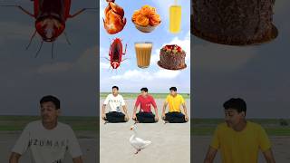 Eating ParleG biscuit Apple Rooster Goose lolipop wow cake chocolate icecream funny 😋VFX [upl. by Docilu533]