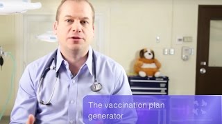 Vaccines Boosters and The Benefits of Titer Testing for Dogs and Cats  Vet Guide [upl. by Felic534]