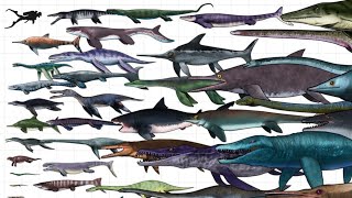 Extinct aquatic reptiles length comparison [upl. by Eba913]