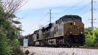 CSX ES44AH 3137 Leads C88811 Coal Loads on 61224 [upl. by Adekam]